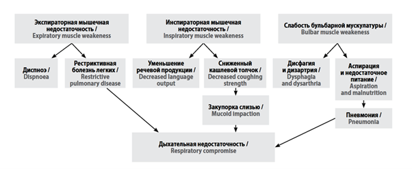 Механизм развития дыхательной недостаточности